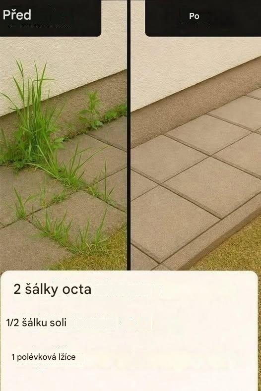 Jak si vyrobit super účinný domácí herbicid
