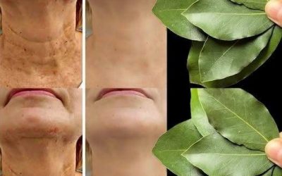 Je vavřín 100 000krát silnější než Botox? | Přírodní lék na vrásky, a to i v 70 letech!