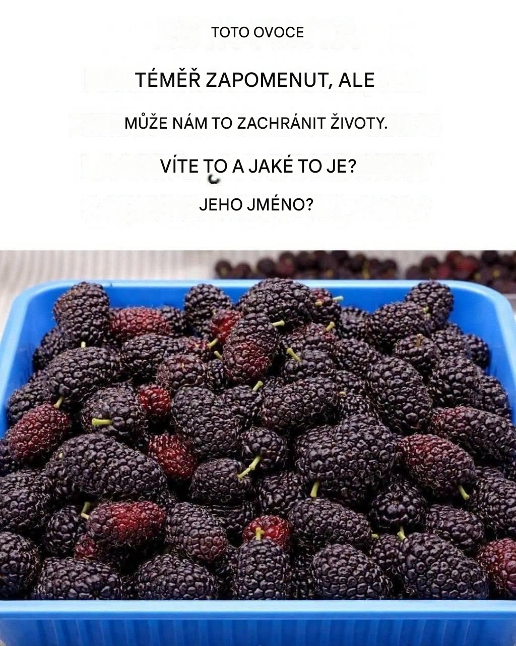 Starověké ovoce: Zachraňte si život, objevte jeho sílu