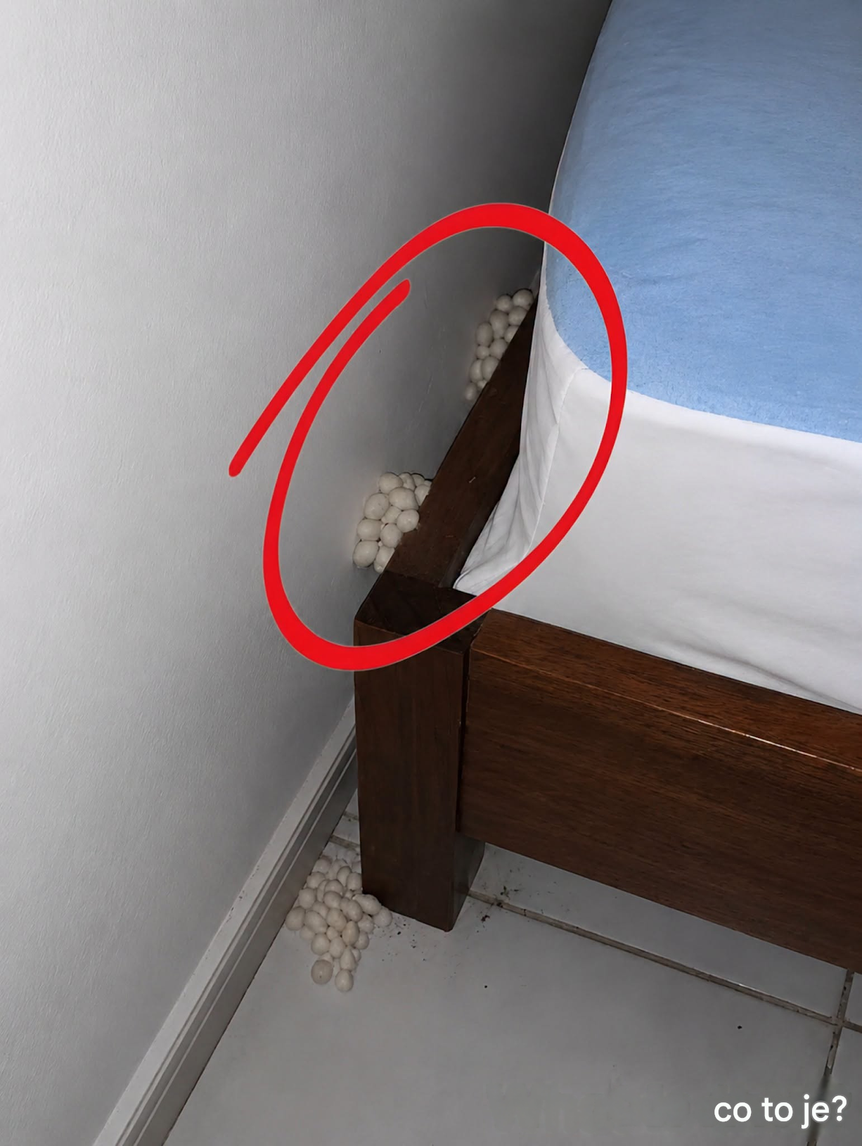 Dorazil jsem domů vyčerpaný s nadějí na klidnou noc, ale jeden detail mi napověděl, že něco není v pořádku.
