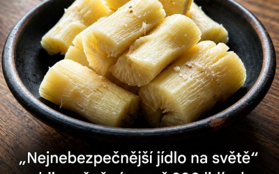 Maniok: životně důležitá potravina, která musí být pečlivě připravena, aby se předešlo smrtelným rizikům
