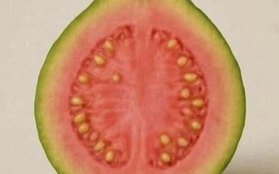 Guava a její listy: přírodní spojenec v boji proti cukrovce
