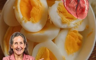 Prokázané zdravotní přínosy konzumace vajec podložené důkazy