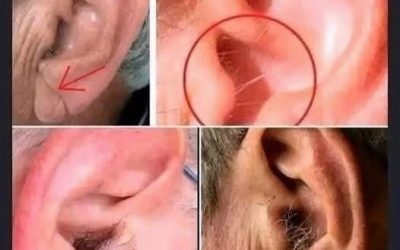 Věděli jste, že pokud vám rostou chloupky na uších, není to známka nemoci ani záhada, ale přirozený důsledek stárnutí, hormonů, genetiky a času, které v lidském těle tiše působí po celá desetiletí?