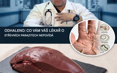 Ztučnění jater: tichý stav, který byste neměli ignorovat