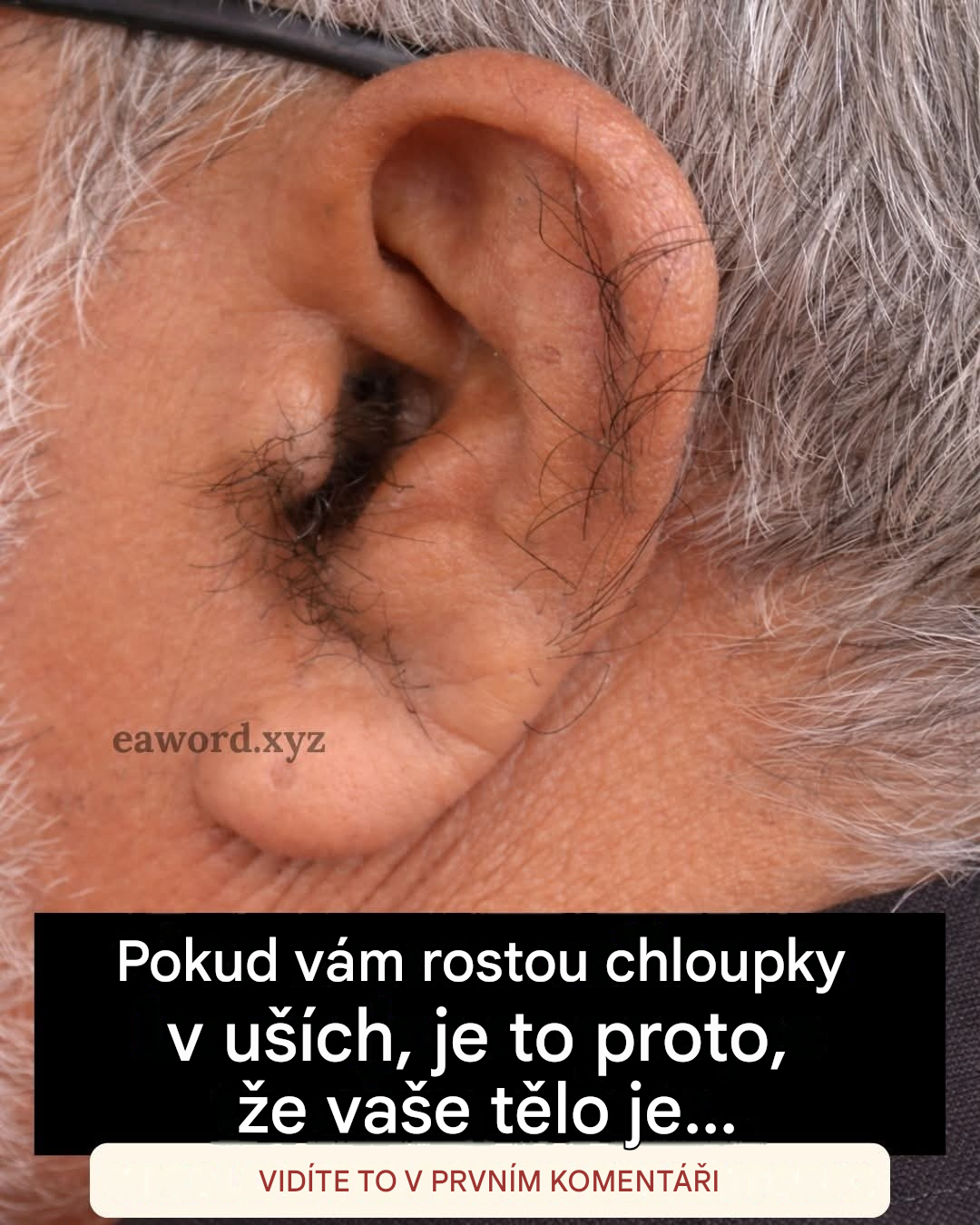 Proč rostou chloupky v uchu?