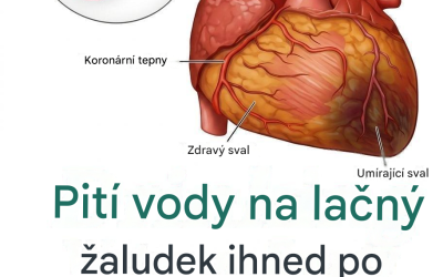Věděli jste, že pití vody na lačný žaludek může být…