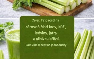 Detoxikační šťáva pro játra a slinivku břišní…