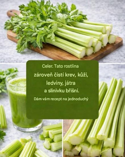 Detoxikační šťáva pro játra a slinivku břišní…