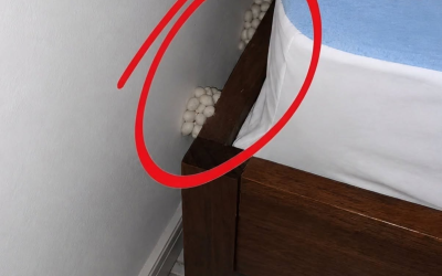 Vrátil jsem se domů vyčerpaný a doufal v klidnou noc, ale jeden detail mi ukázal, že něco není v pořádku.