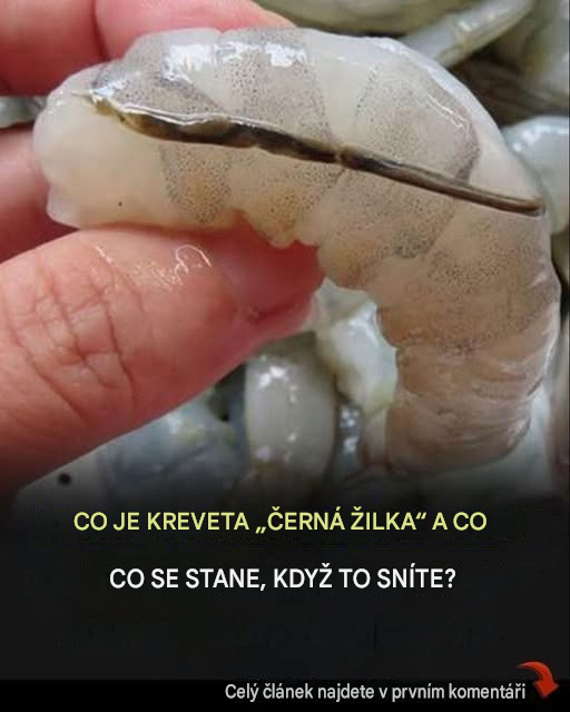 Co se stane, když sníte černou žílu v ocasu krevety?
