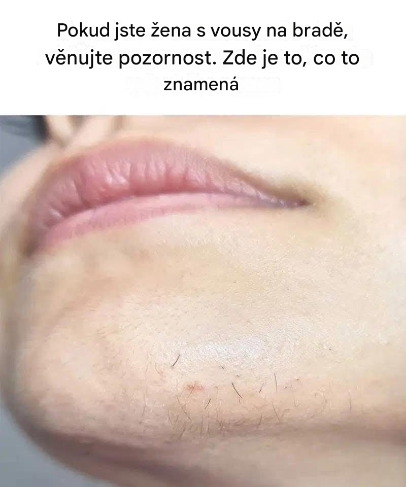 O tomhle jsem neměl ani tušení