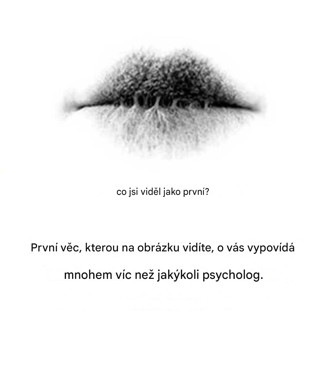 První věc, kterou na obrázku uvidíte, vám o vás prozradí víc než jakýkoli psycholog.