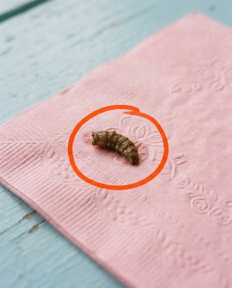 Na tohle jsem narazil v koupelně mé přítelkyně a už na to zírám hodinu – pořád nemám tušení, co to má být.