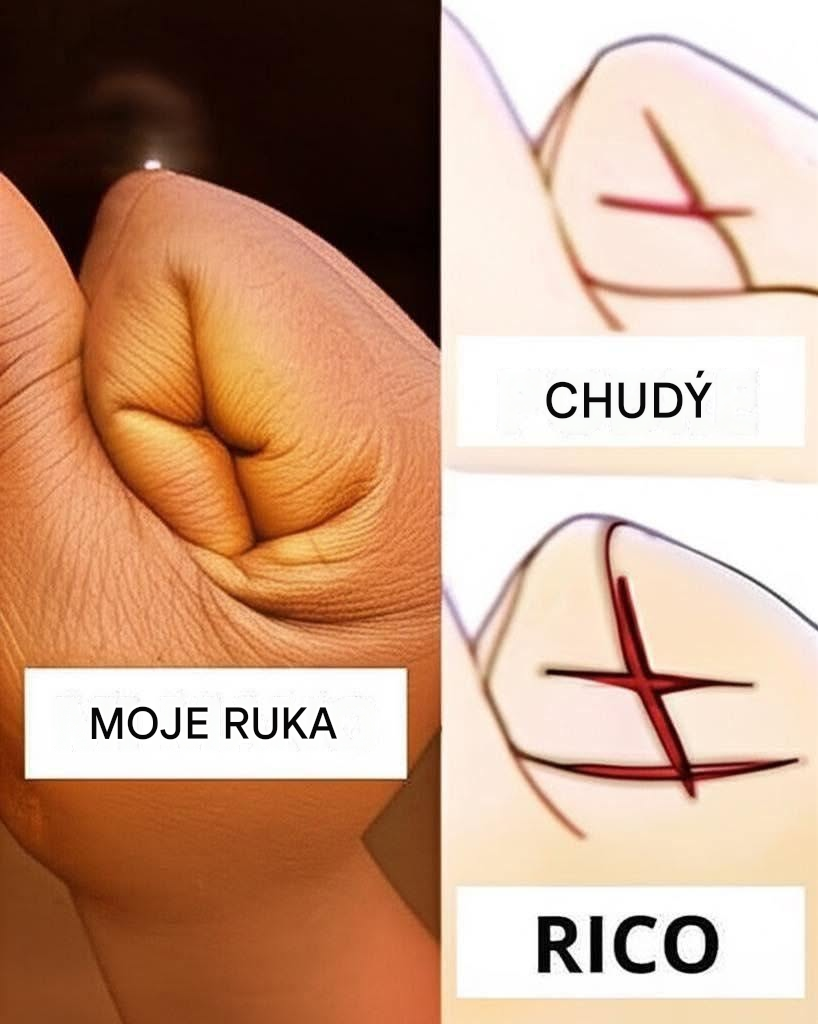 Tajemství naší ruky, které prozrazuje, zda jsme bohatí nebo chudí