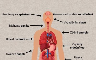 Jak stres ovlivňuje vaše zdraví a způsoby, jak ho zvládat