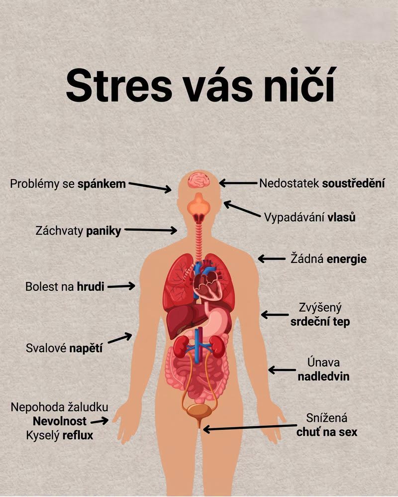 Jak stres ovlivňuje vaše zdraví a způsoby, jak ho zvládat